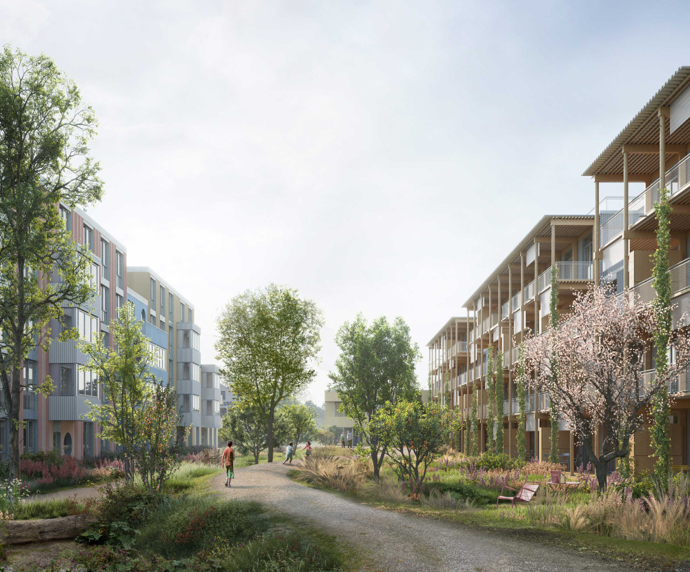 1. Rang Studienauftrag Neumatt