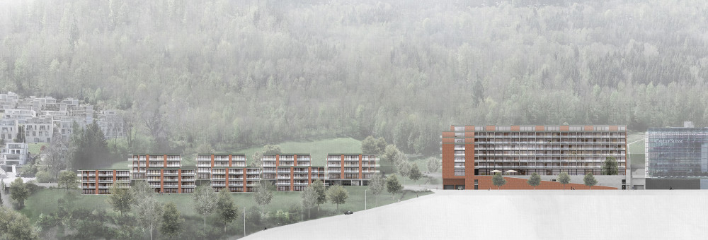 1st prize study contract Area Horgen Oberdorf, building sites A1, C2 and C3